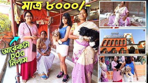 LOW PRICE DOG BREED SELLER IN KOLKATA | DOG BREEDER AT SONARPUR KOLKATA ...