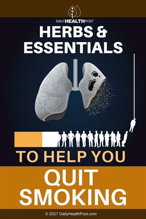 Herbs And Essential Oils To Help You Quit Smoking