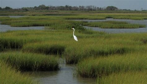 Gorgeous Powderhorn Ranch is the Newest State Wildlife Area in Texas