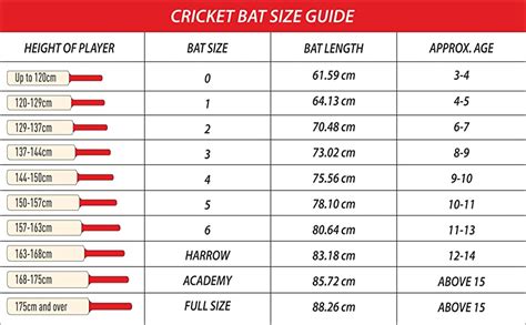 Buy LDR Bat Cricket for Adults Tennis Cricket Bat for Mens Heavy Cricket Bats with Grip for ...