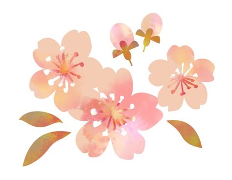 無料 イラスト 桜 ~ イラスト画像ギャラリー