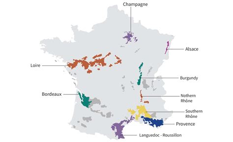 French Wine Regions Guide | Total Wine & More