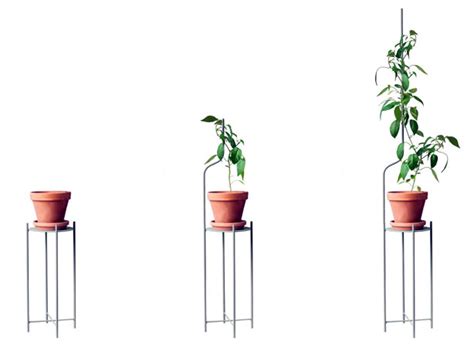 Minimalist Plant Stand and Support System Grows With Your Plants - Urban Gardens