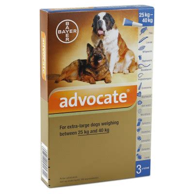 Buy Advocate 400 X Large Dog (>25kg) – pack of 3 Online | SmartVetMeds ...