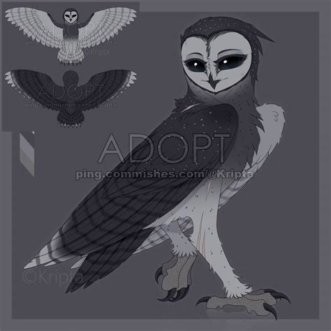 [ADOPT-Sold] Lesser Sooty Owl by KriptA-00 on DeviantArt