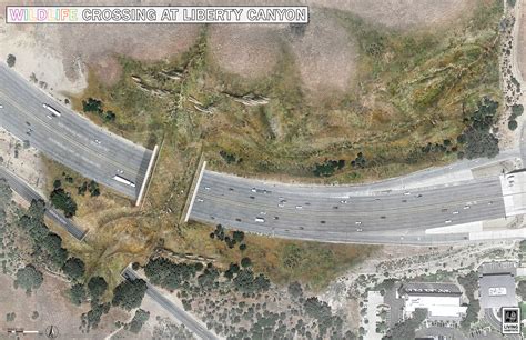 Santa Monica Mountains Wildlife Crossing Project Unveils New Images ...