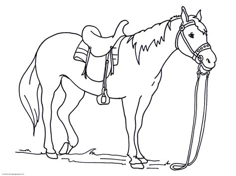 Horse Coloring Pages for Kindergarten | Learning Printable