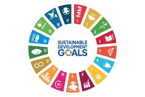 United Nations Sustainable Development Goals (UN SDGs) - Course