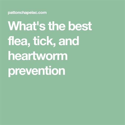 What's the best flea, tick, and heartworm prevention | Heartworm, Heartworm treatment, Heartworm ...