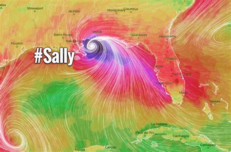 Tropical Storm Sally expected to bring destructive hurricane landfall for the Gulf Coast