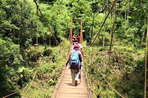 Taman Hutan Raya Ir. H. Djuanda - TelusuRI