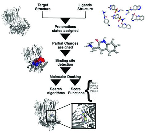 General workflow of molecular docking calculations. The approaches ...