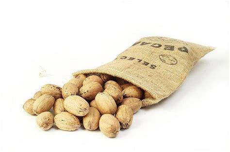 In Shell Bulk Pecans - Burlap Bag - Walmart.com