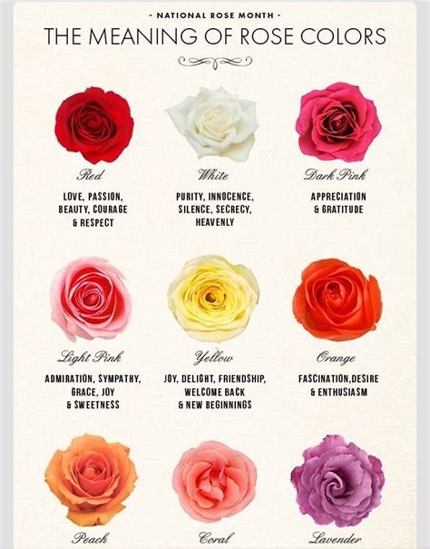 Rose Color Meaning Chart