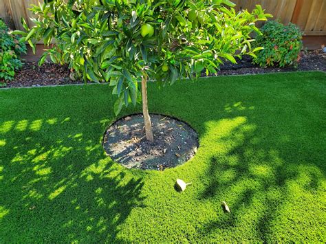 Integrating Artificial Landscape Plants with Las Vegas Artificial Grass