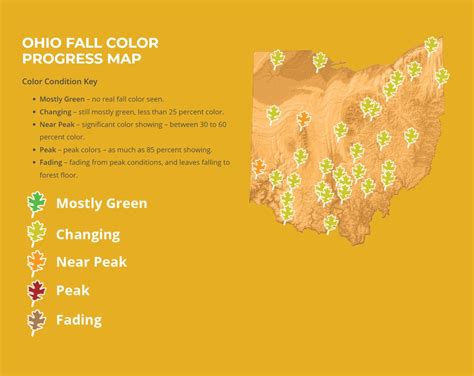 The best spots to take in the grandeur of Northeast Ohio's fall colors