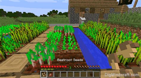 How to make Beetroot Seeds in Minecraft