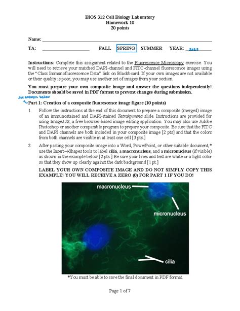 Homework 10 Cell Bio Lab - Homework 10 20 points Name: - Studocu