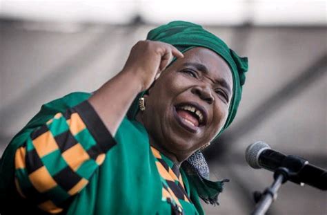 Nkosazana Dlamini Zuma Biography, Age, Height, Life Style & Family ...