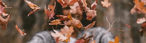 Autumnal equinox: 9 Tips to support your health this season