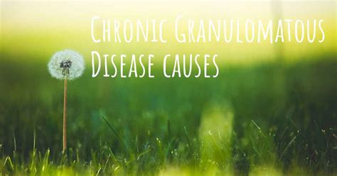 Which are the causes of Chronic Granulomatous Disease?