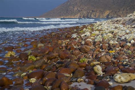 See The 12 Unique Targeted Sites in Socotra Island - 2SOCOTRA