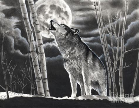 Howling at the Moon Drawing by Christian Conner - Fine Art America