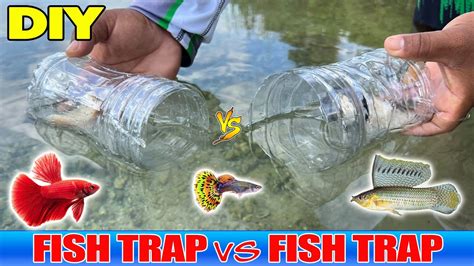 DIY Fish Trap VS Fish Trap! Plastic Bottle Fish Trap - POBSE