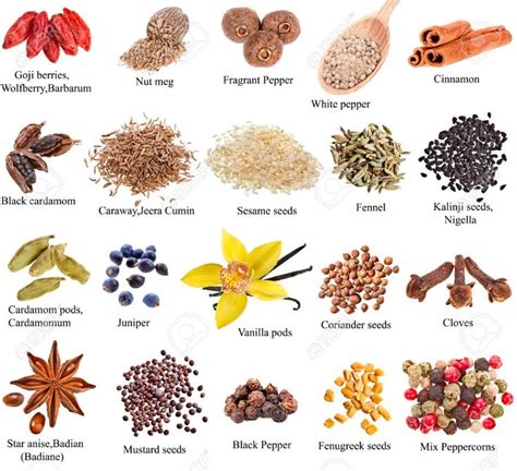 Collection set of heap spices with names close up isolated on white background Stock Photo ...