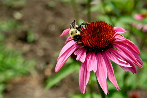 Outdoor Photography Tips