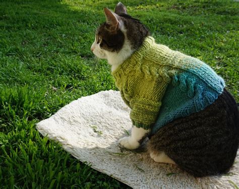 13 Adorable Outfits And Accessories For Your Cat Because You're 100 Percent Serious About Being ...