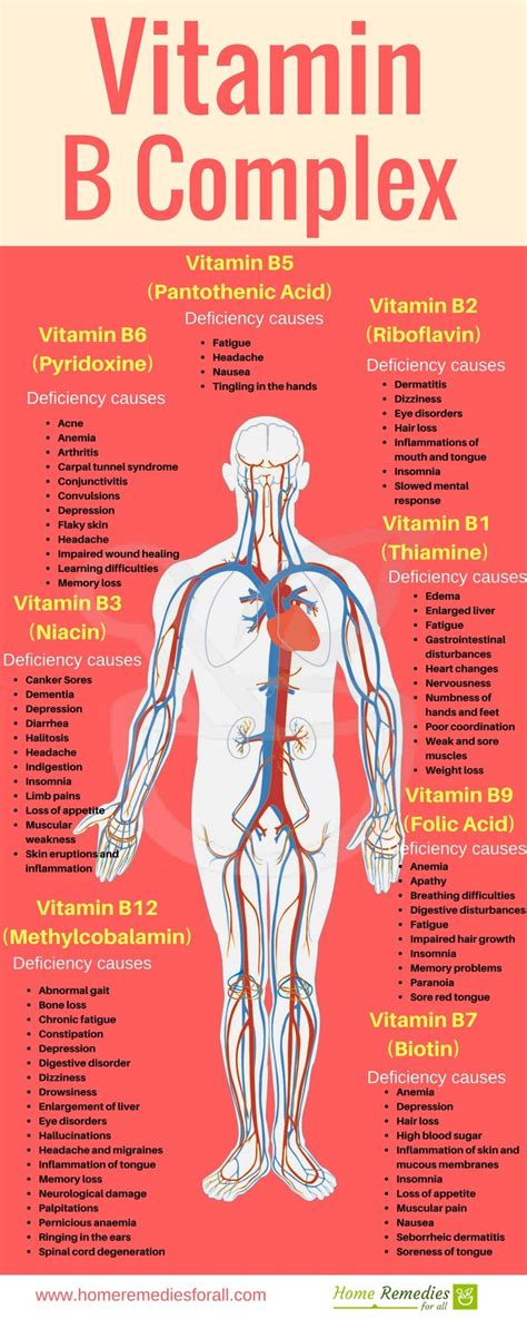 What Causes Vitamin B Complex Deficiency