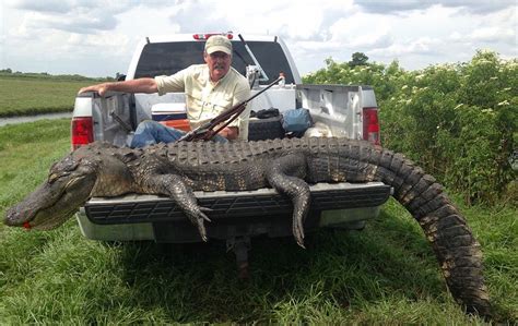 Florida Alligator hunting | Seminole Prairie | Florida Hunting Ranch