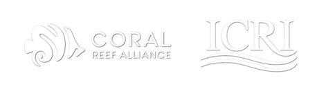 The First Annual Coral Bleaching Awareness Month Kicks off in 2023 - Coral Reef Alliance