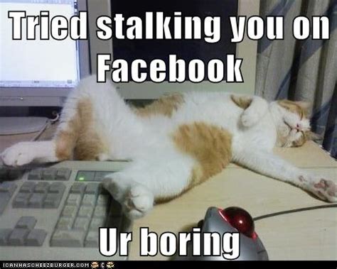 Tried stalking you on Facebook - Lolcats - lol | cat memes | funny cats ...