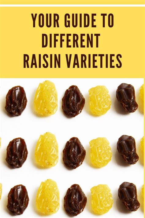 Your Guide to the Different Raisin Varieties • Mom's Memo