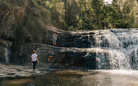 Morwell National Park | Visit Gippsland