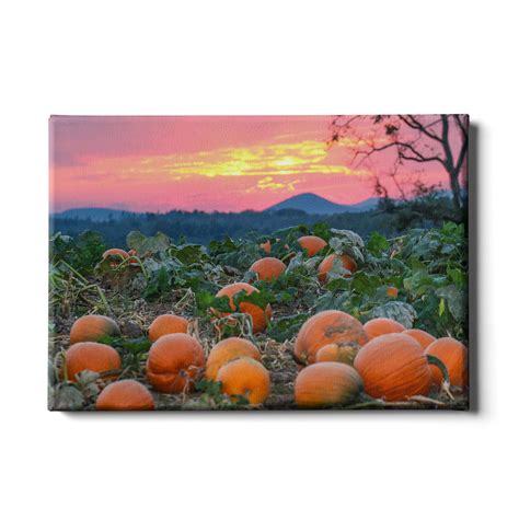 Destination - Sunset Pumpkin Patch - Canvas Photo Print Frame - College Wall Art