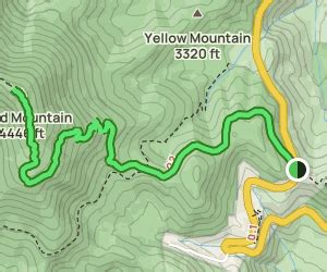 Blood Mountain via Appalachian Trail: 419 Reviews, Map - Georgia | AllTrails