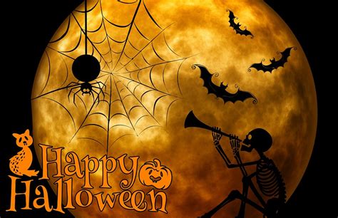 Ilustración gratis: Halloween, Esqueleto, Gato, Raro - Imagen gratis en ...