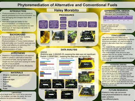 ISEF Backboard - phytoremediation