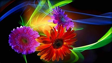 50 Beautiful Flower Wallpaper Images For Download