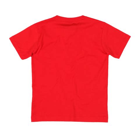 Red T-Shirt PNG Transparent Images, Pictures, Photos | PNG Arts
