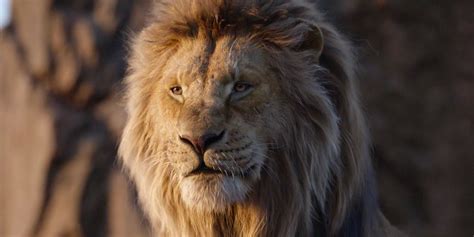 The Lion King 2: Every Character Who Can Return In Disney's Prequel