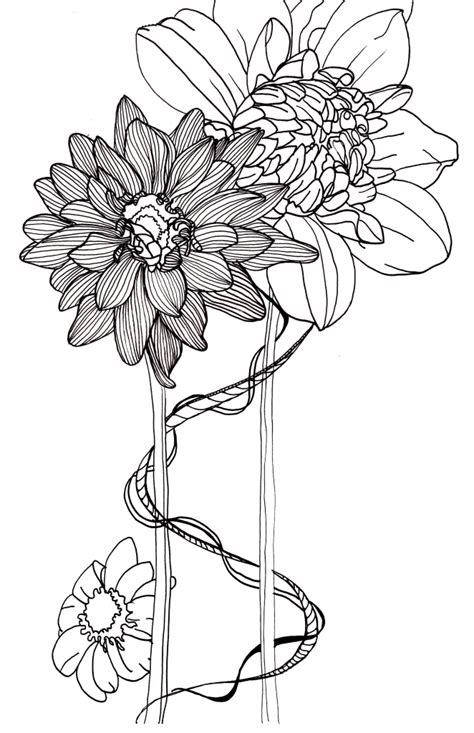 Simple Flower Line Drawing at GetDrawings | Free download