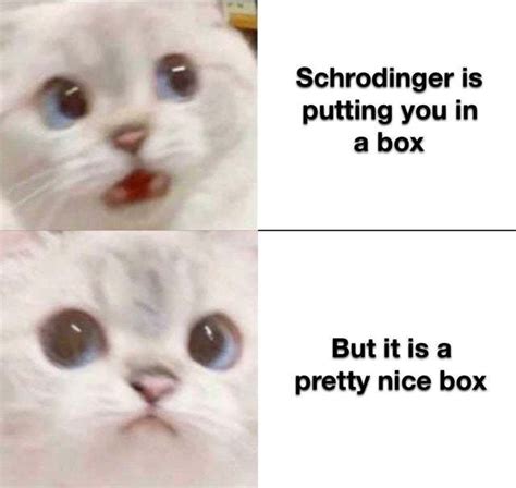 The Schrodinger cat - Meme by CommanderJax :) Memedroid