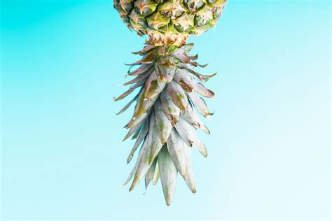 What does an upside down pineapple mean? | The Irish Sun