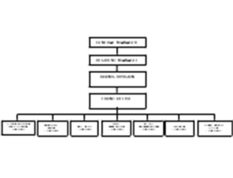 Draw Organizational Charts Online With Amazing Ease Hierarchy Charts ...