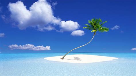 A Palm Tree Island HD Wallpaper - WallpaperFX