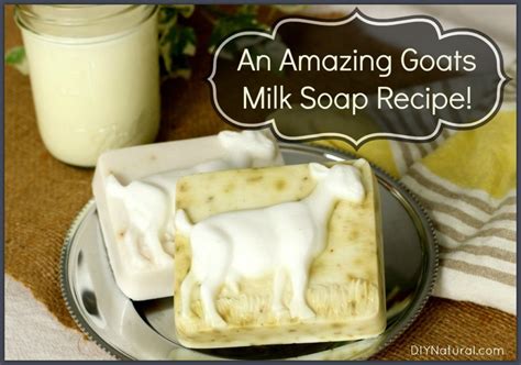 Goat Milk Soap Recipe: This Also Works With Other Types of Milk